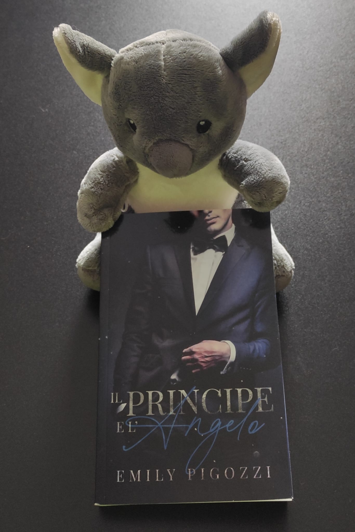 IL PRINCIPE E L’ANGELO