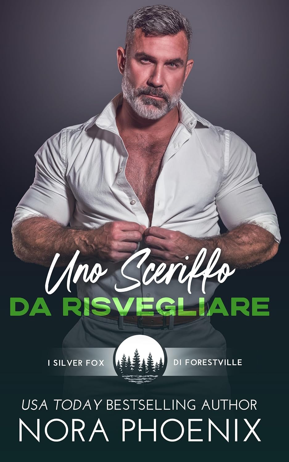 uno sceriffo da risvegliare: nora phoenix