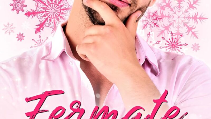 fermate le nozze (snowed inn #1)- rj scott