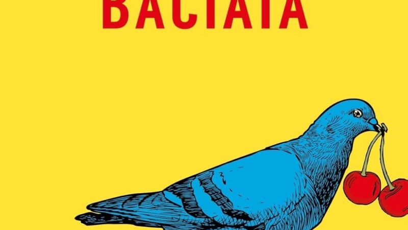 considerati baciata- jessica stanley