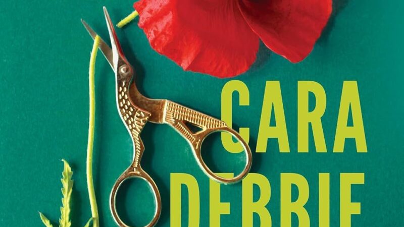 cara debbie- freida mcfadden